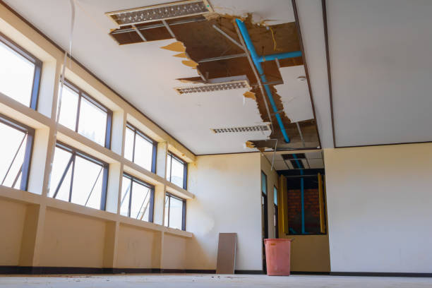 Best Water damage cleanup near me  in Legend Lake, WI