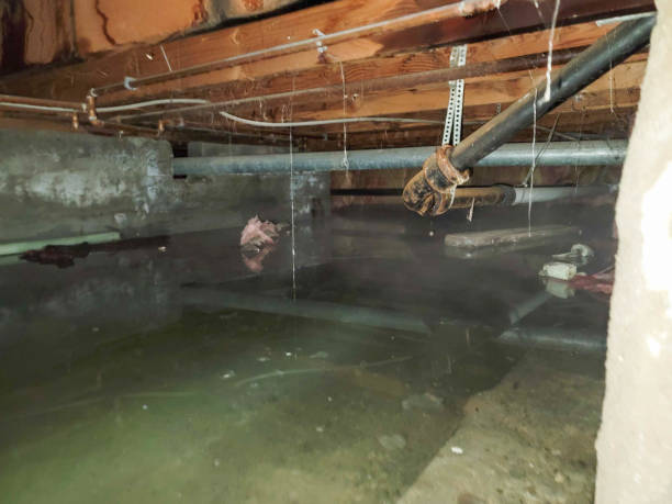 Best Water damage restoration near me  in Legend Lake, WI