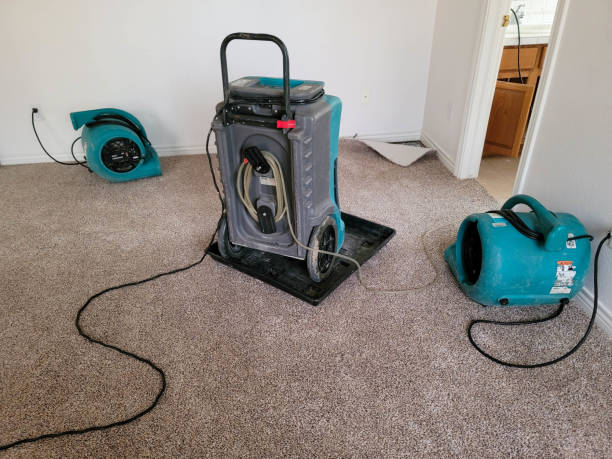 Best Water damage restoration services  in Legend Lake, WI