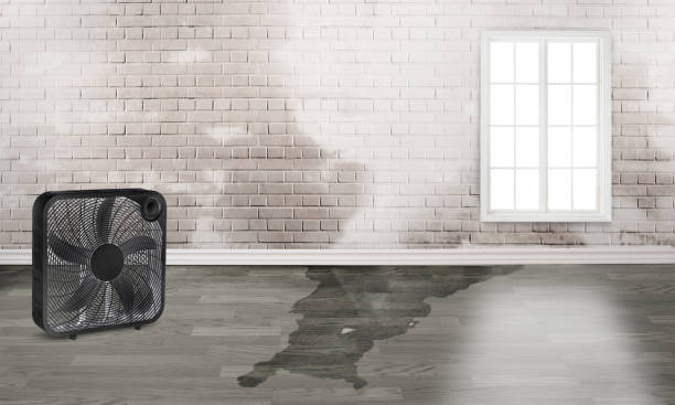 Best Local water damage restoration  in Legend Lake, WI