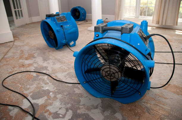 Best Flood restoration services  in Legend Lake, WI